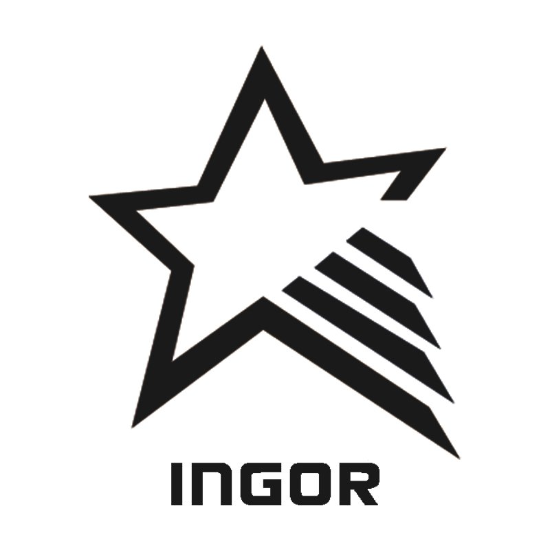  INGOR Array image100